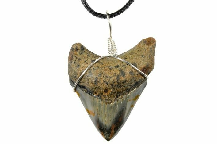 Fossil Megalodon Tooth Necklace #130955